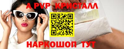 индика Гусев