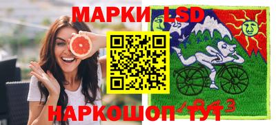 индика Гусев