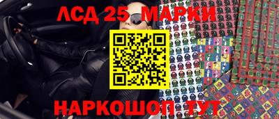 индика Гусев