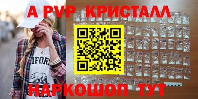 индика Гусев