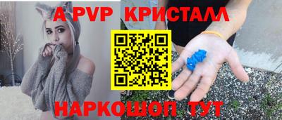 индика Гусев