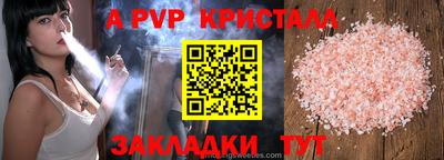 индика Гусев