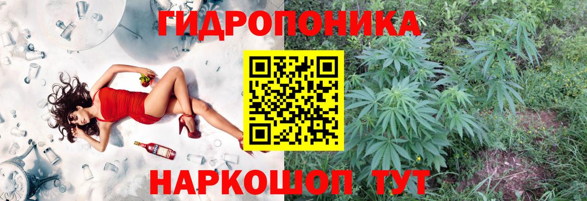Бошки Шишки сатива Мелеуз